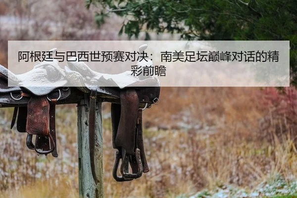 阿根廷与巴西世预赛对决：南美足坛巅峰对话的精彩前瞻